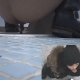 A Japanese girl takes a long shit into a floor toilet with voyeuristic filming style and dual-angle, picture in picture videography. High-quality video.